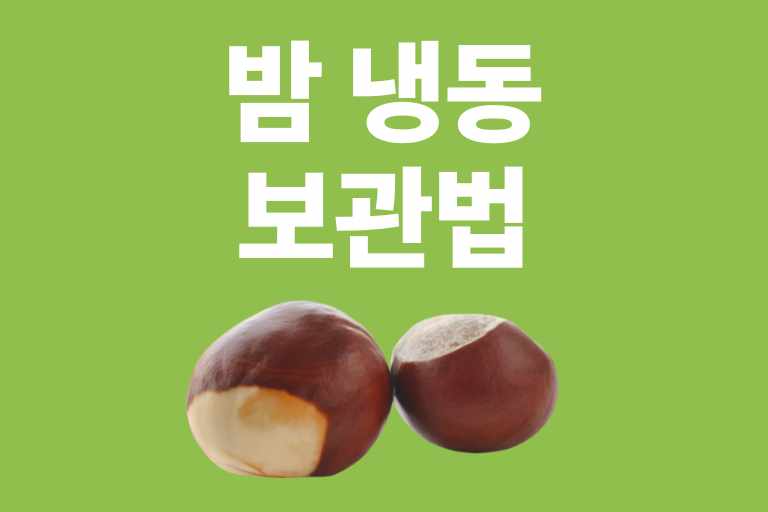 밤 냉동 보관법