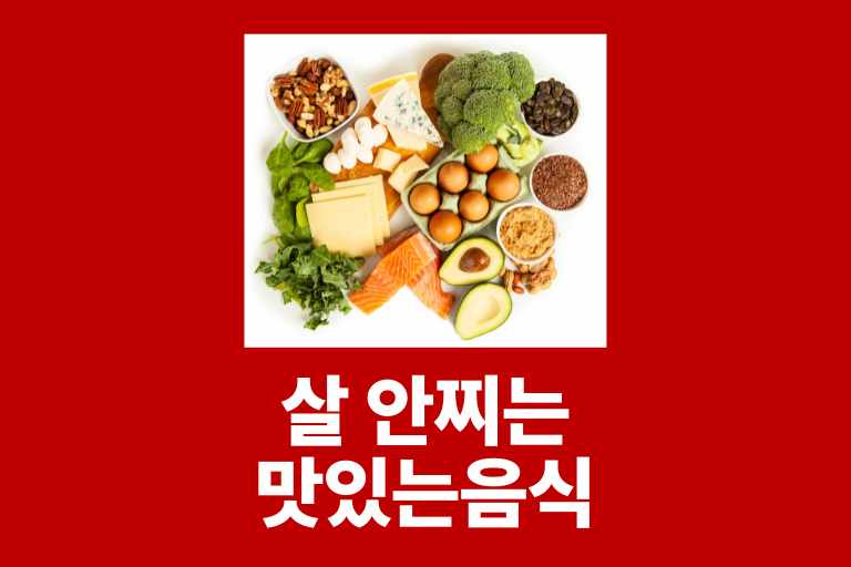 살 안찌는 맛있는 음식 다이어트 체지방 줄이는 법