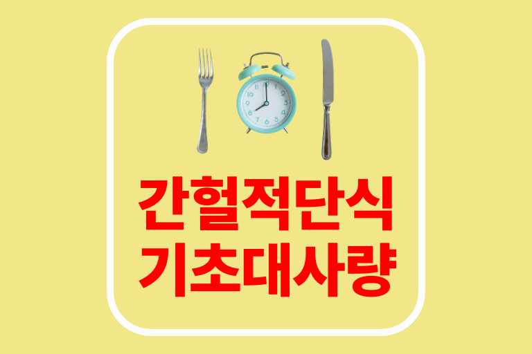 다이어트 간헐적 단식 기초대사량 체지방 내장지방 제거