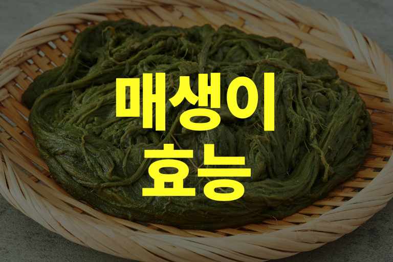 매생이 효능