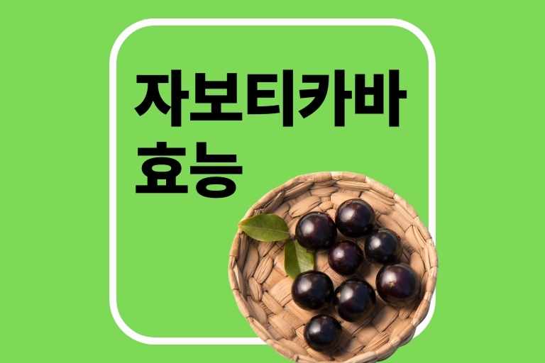 자보티카바 효능 및 부작용, 먹는 법