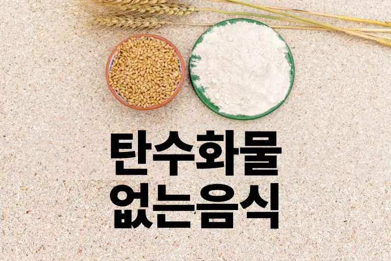 탄수화물 없는음식 단백질 지방 글루텐프리