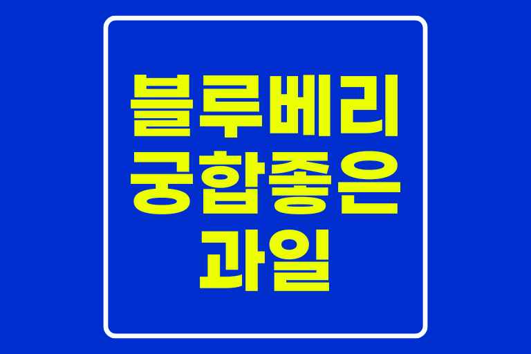 블루베리궁합 과일